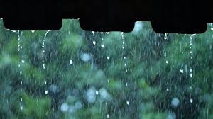 雨