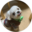 ななちゃんねる