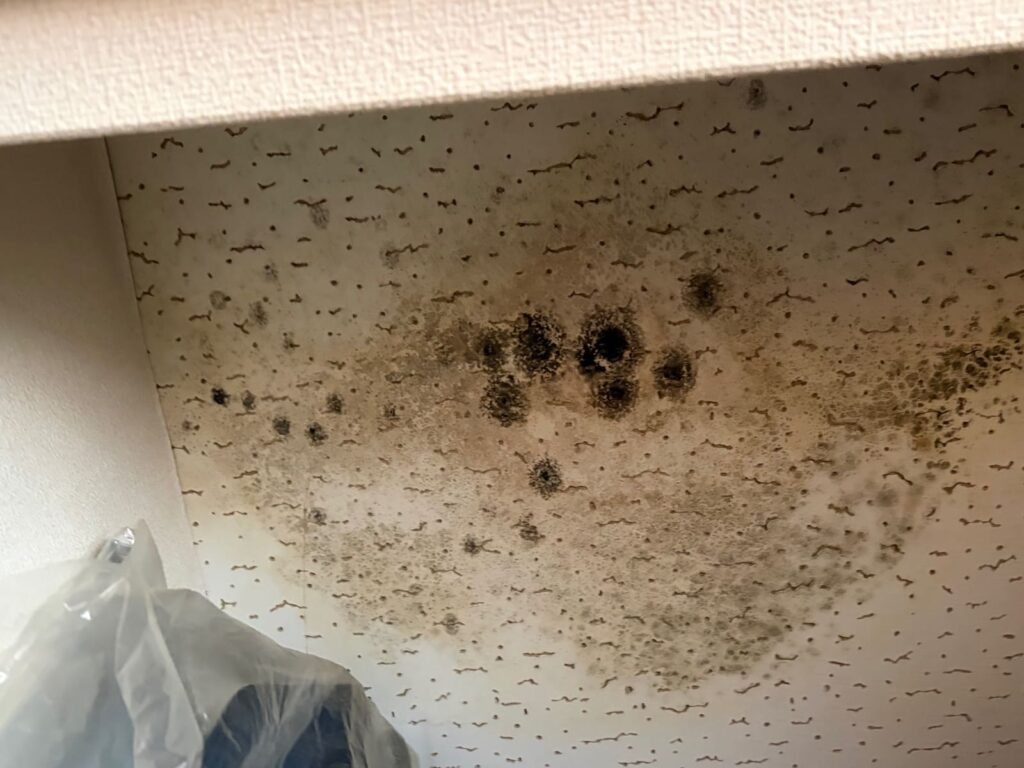 プロタイムズ三木店　雨漏れによるカビの発生。天井