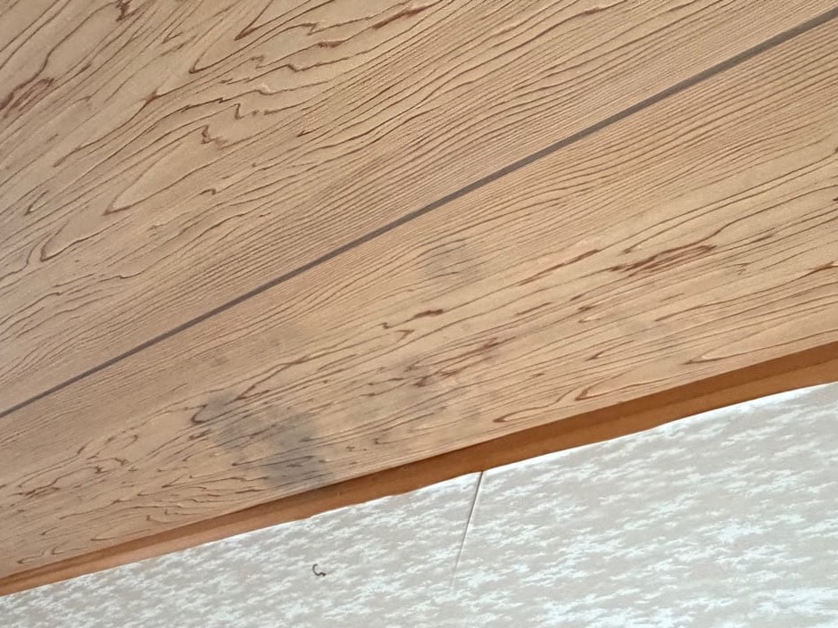 プロタイムズ三木店　雨漏れによるカビの発生写真。